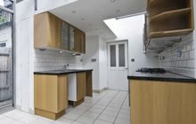 Wilney Green kitchen extension leads